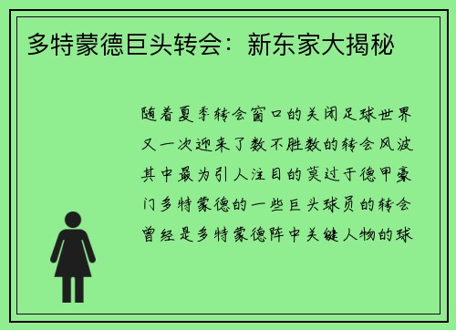 多特蒙德巨头转会：新东家大揭秘